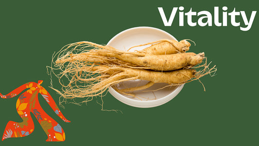 Discover the Power of Korean Ginseng