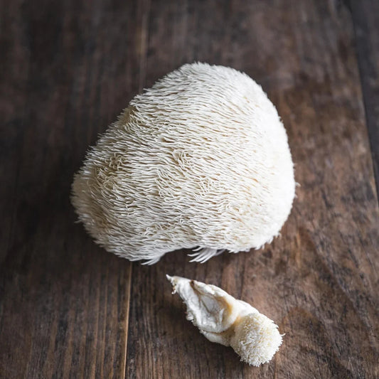 The benefits of Lions Mane mushroom